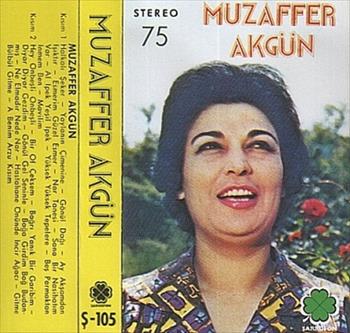 Muzaffer Akgün