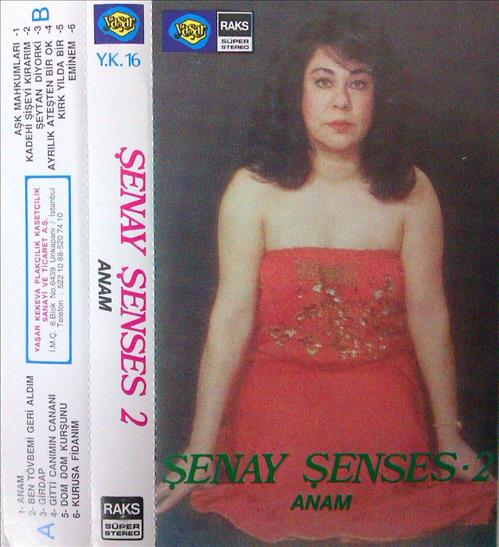 Şenay Şenses - 2 / Anam