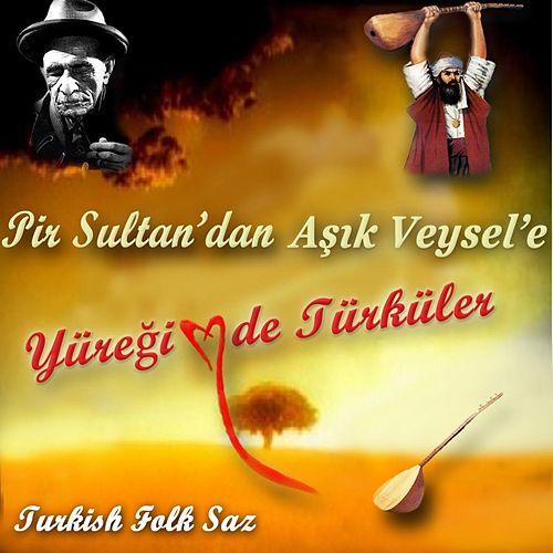 Pir Sultan'dan Aşık Veysel'e Yüreğimde Türküler - 1
