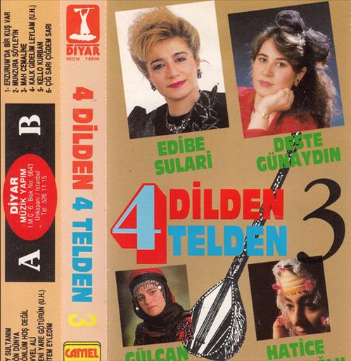 4 Dilden 4 Telden 3
