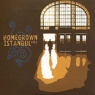 Homegrown İstanbul Vol. 2