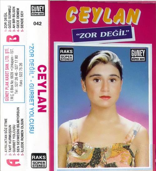 Zor Değil